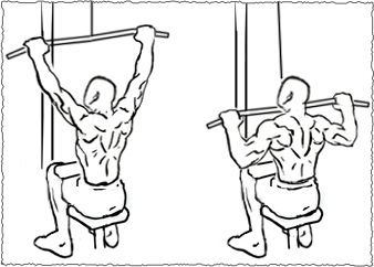 lat-pulldown.jpg